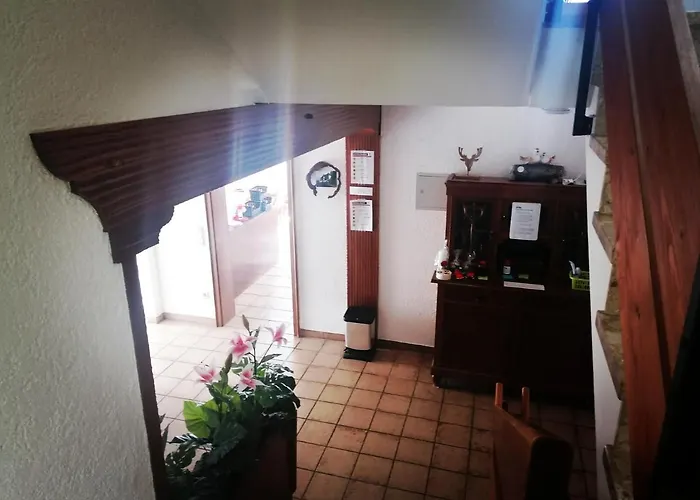 Daire Haus Schwarzwaldblick