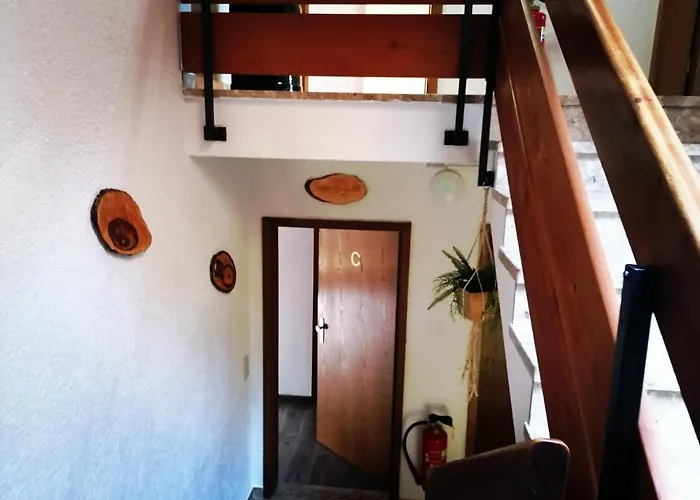 Daire Haus Schwarzwaldblick